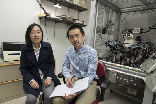 Research associates Yajun Zhang, PhD (left), and Peng Zhang, PhD, were instrumental in the project.