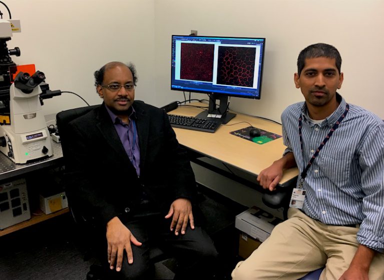 Jayakrishna Ambati, MD, and Nagaraj Kerur, PhD, have discovered the trigger for the damaging inflammation that causes macular degeneration.