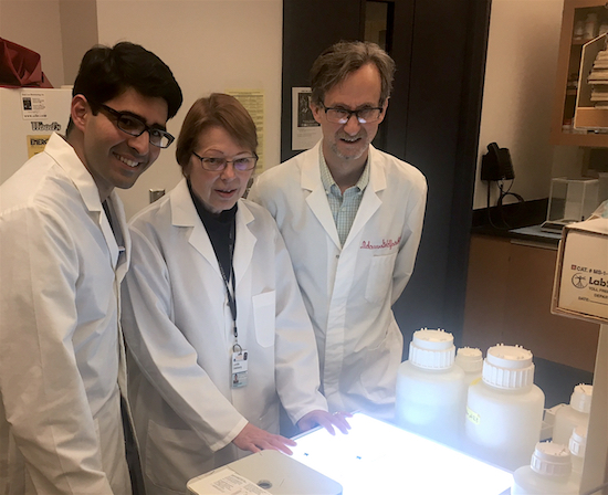 Shadi Khalil (from left), Lorrie Delehanty and Adam Goldfarb have made an important discovery about anemia.