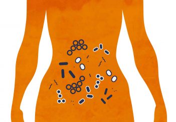The microbiome is the collection of microscopic organisms, such as bacteria, that naturally live inside us.