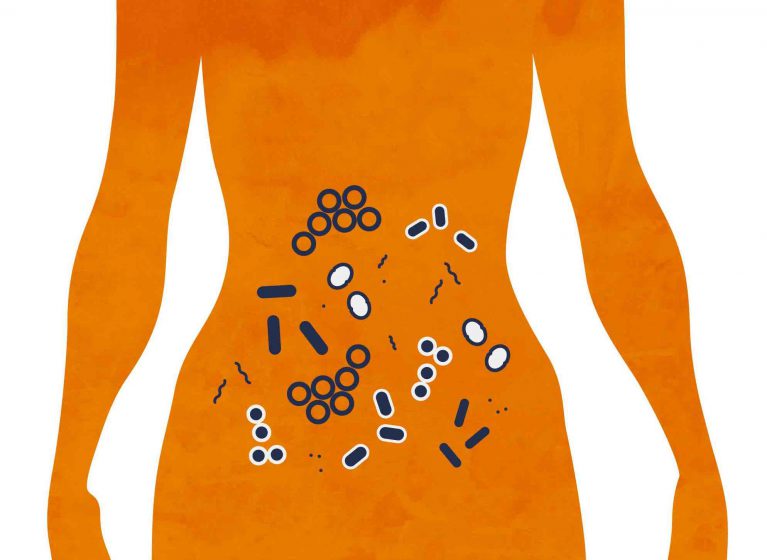 The microbiome is the collection of microscopic organisms, such as bacteria, that naturally live inside us.