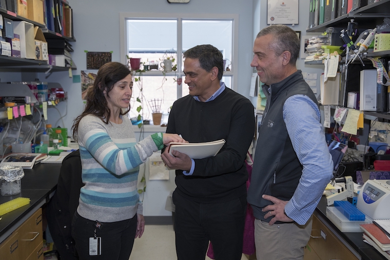 Claudia Rival, Kodi Ravichandran and Jeffrey Lysiak talk between lab stations.