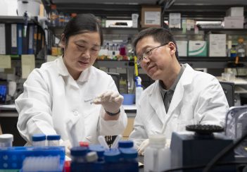 Ying Jiang and Hui Zang look at a microscope slide while sitting at a lab bench.