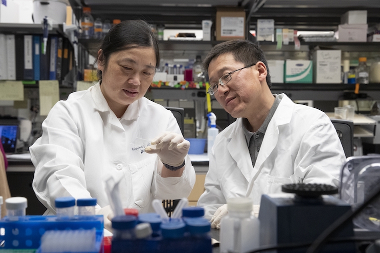 Ying Jiang and Hui Zang look at a microscope slide while sitting at a lab bench.