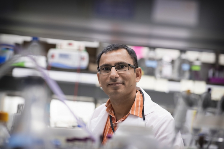 Jogender Tushir-Singh in his lab.
