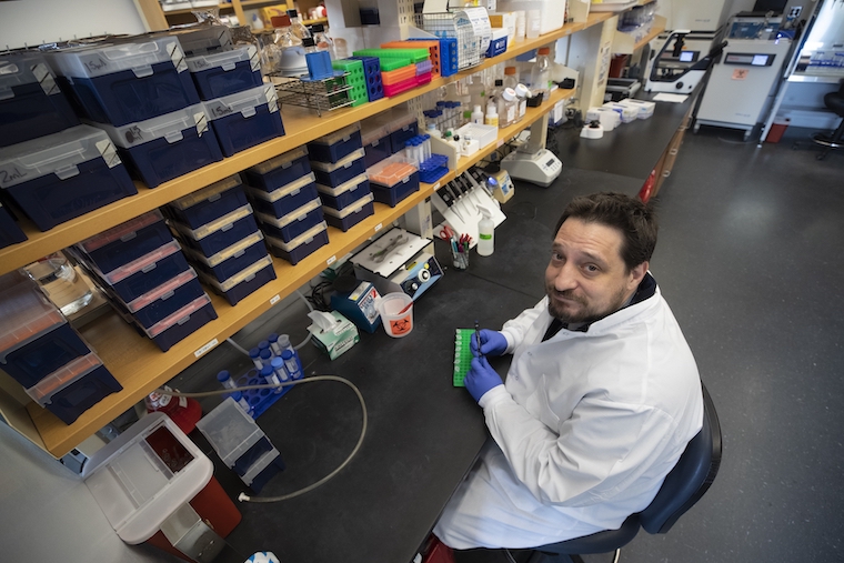Bradley Gelfand sits at a bench in his lab.